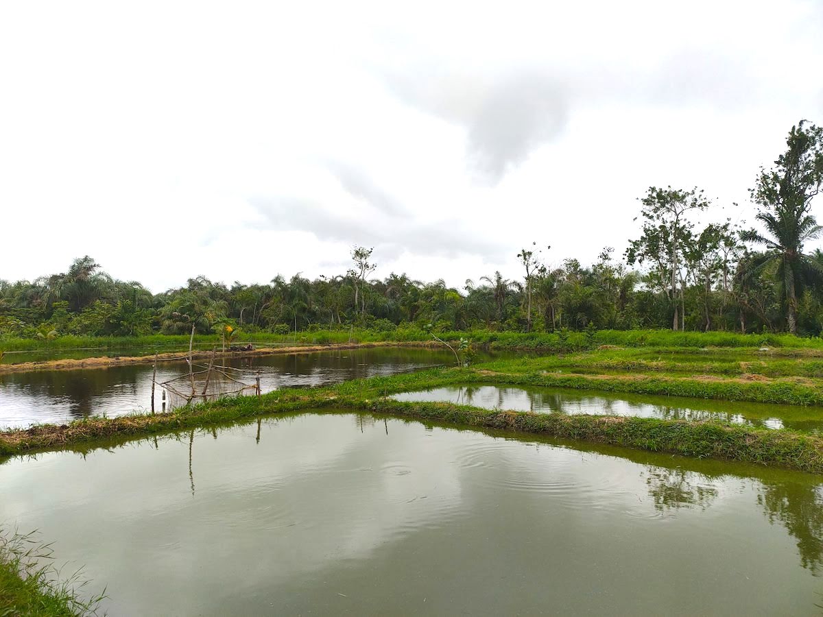 Environmental and Resource Analysis
